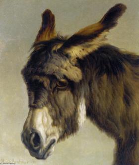 Rosa-Bonheur-Head-of-a-Donkey.JPG